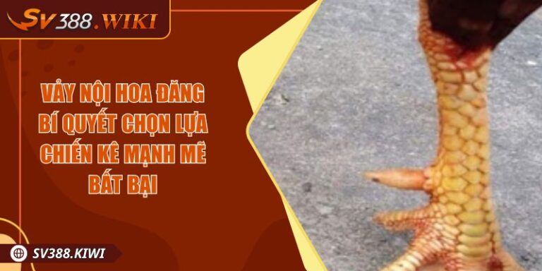 Vảy Nội Hoa Đăng Bí Quyết Chọn Lựa Chiến Kê Mạnh Mẽ Bất Bại 2 Vảy Nội Hoa Đăng Bí Quyết Chọn Lựa Chiến Kê Mạnh Mẽ Bất Bại